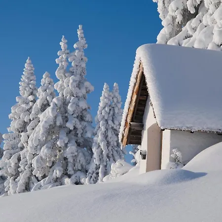 Hochalm Апартаменты Ленггрис